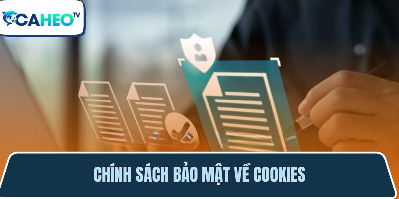chinh sach ve cookies 1