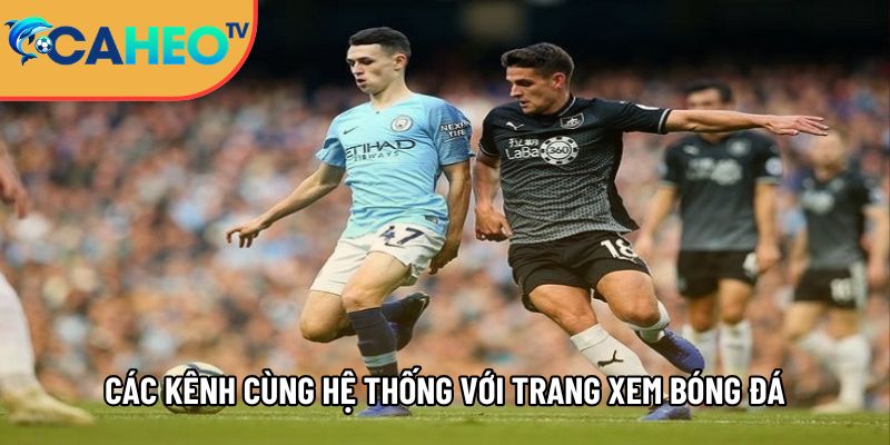 tong hop cac kenh cung he thong voi trang xem truc tiep bong da caheotv 1